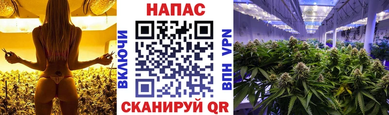 Что такое Апшеронск Канабис  АМФ  ГАШИШ  Мефедрон 