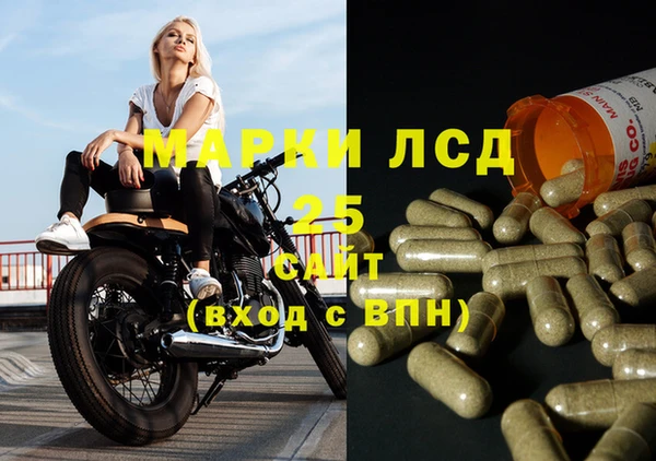 гидра Алзамай