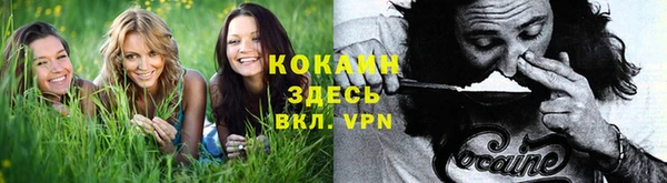гидра Алзамай