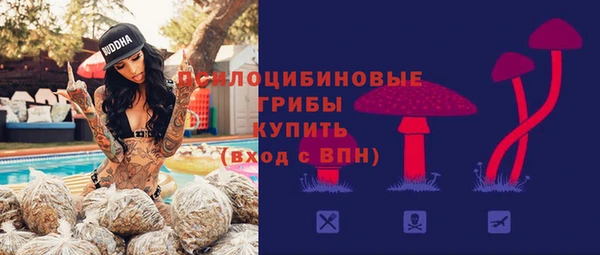 гидра Алзамай