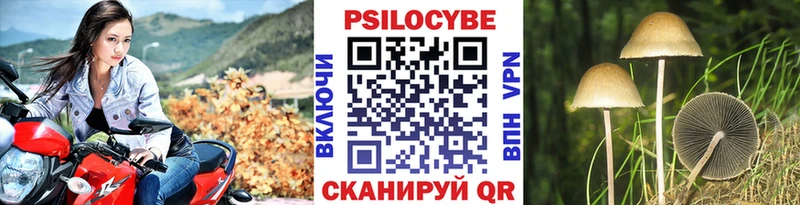 mega ссылки где можно купить наркотик Апшеронск Псилоцибиновые грибы Cubensis
