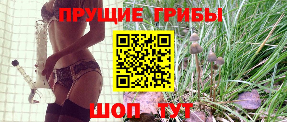 Галлюциногенные грибы Magic Shrooms Апшеронск